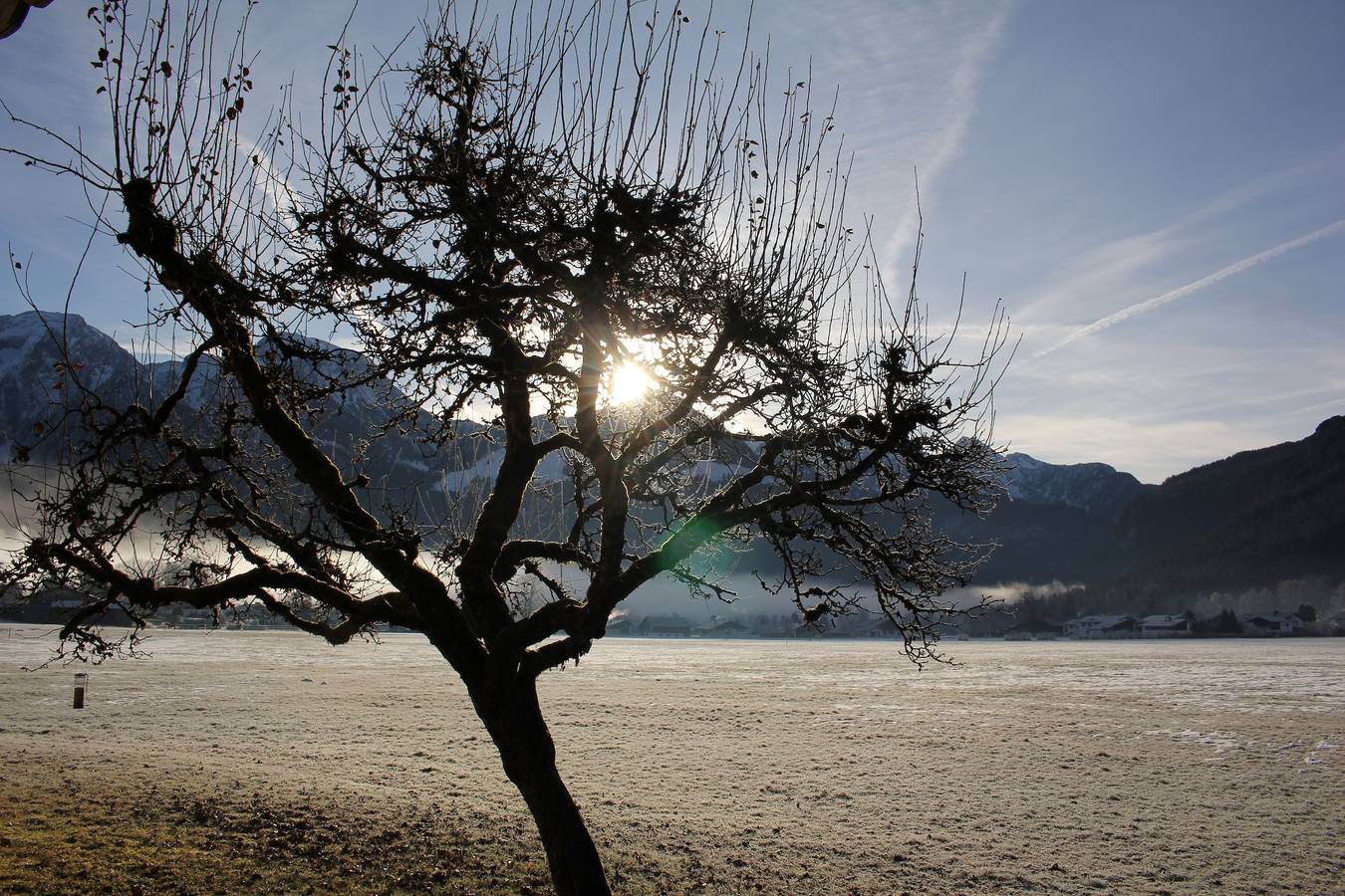 Ganze Ferienwohnung, Fewo Löslerlehen Haus 31 a - Ferienwohnung Watzmann, 25 qm, 1-2 Personen, 1 separates Schlafzimmer, Balkon in Schönau am Königssee, Berchtesgadener Alpen