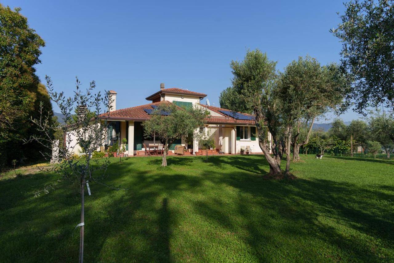 I 7 Meli in San Lazzaro (Sarzana), Sarzana