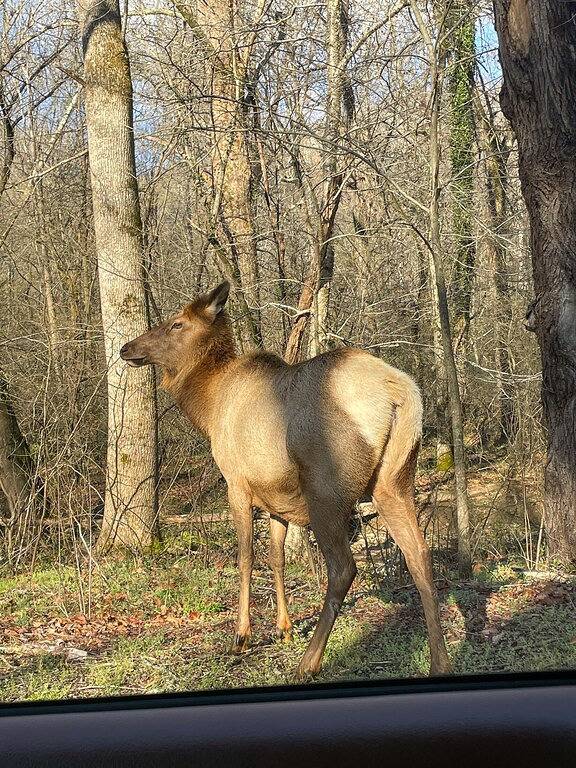 Log Cabin for 6 Guests in Blue Ridge Parkway, Cherokee