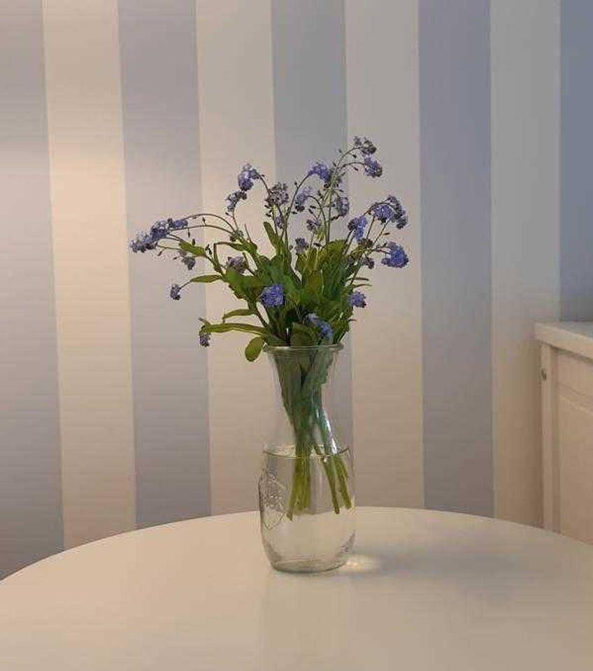 Ganze Ferienwohnung, Appartement Heidaway in Wenningstedt, Sylt