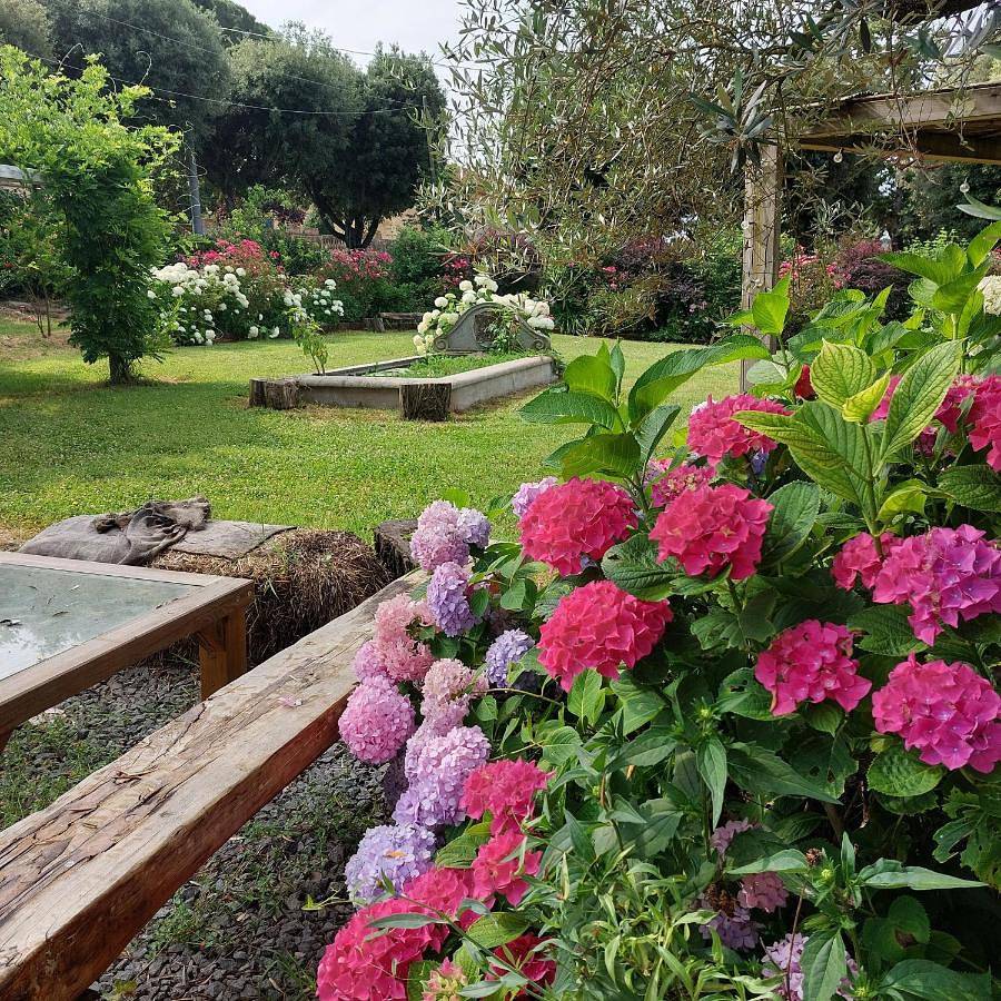 Orto delle Fate in Marta, Lago di Bolsena