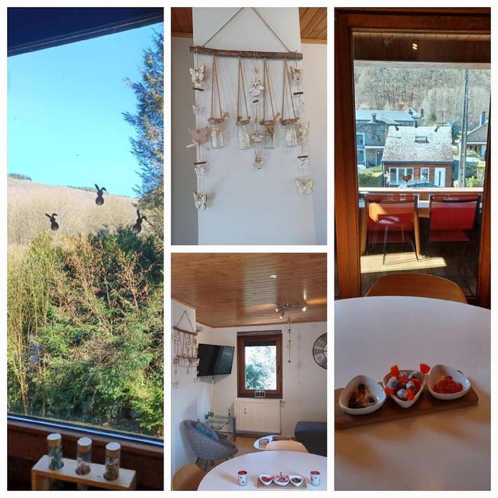 Gîte pour 4 personnes, avec vue et balcon à Vresse-sur-Semois - 2