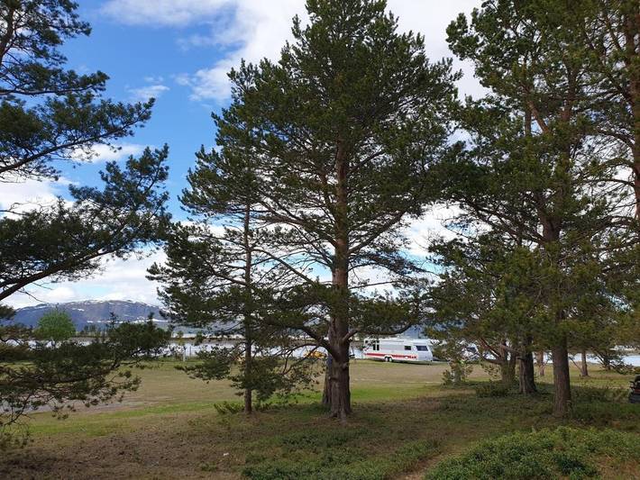 Ferienhaus für 3 Personen, mit Sauna und Garten, mit Haustier in Alta - 2