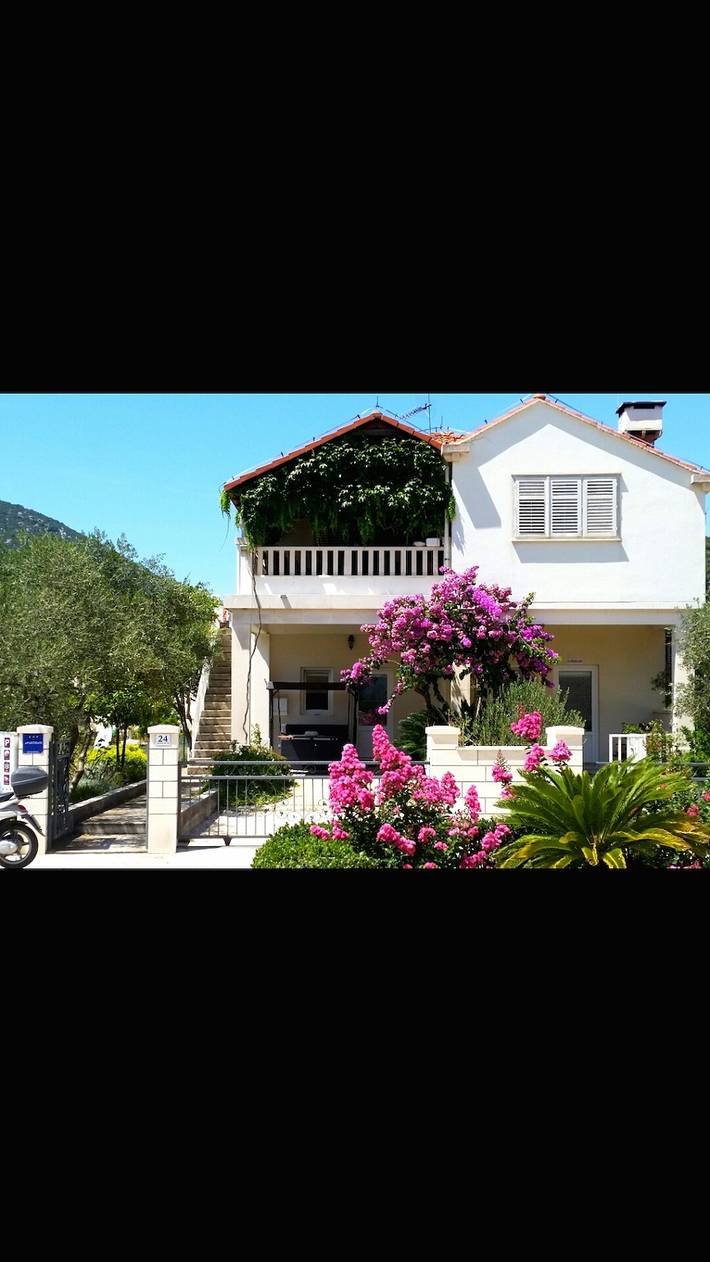 Ganze Wohnung, Ferienwohnung in Ston / Mali Ston mit Meerblick, Terrasse, Klimaanlage, W-Lan (3588-2) in Ston, Dubrovnik-Neretva