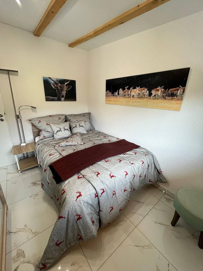 Apartamento vacacional entero, Apartment, bath, toilet in Wadern, Saar-Nahe-Bergland