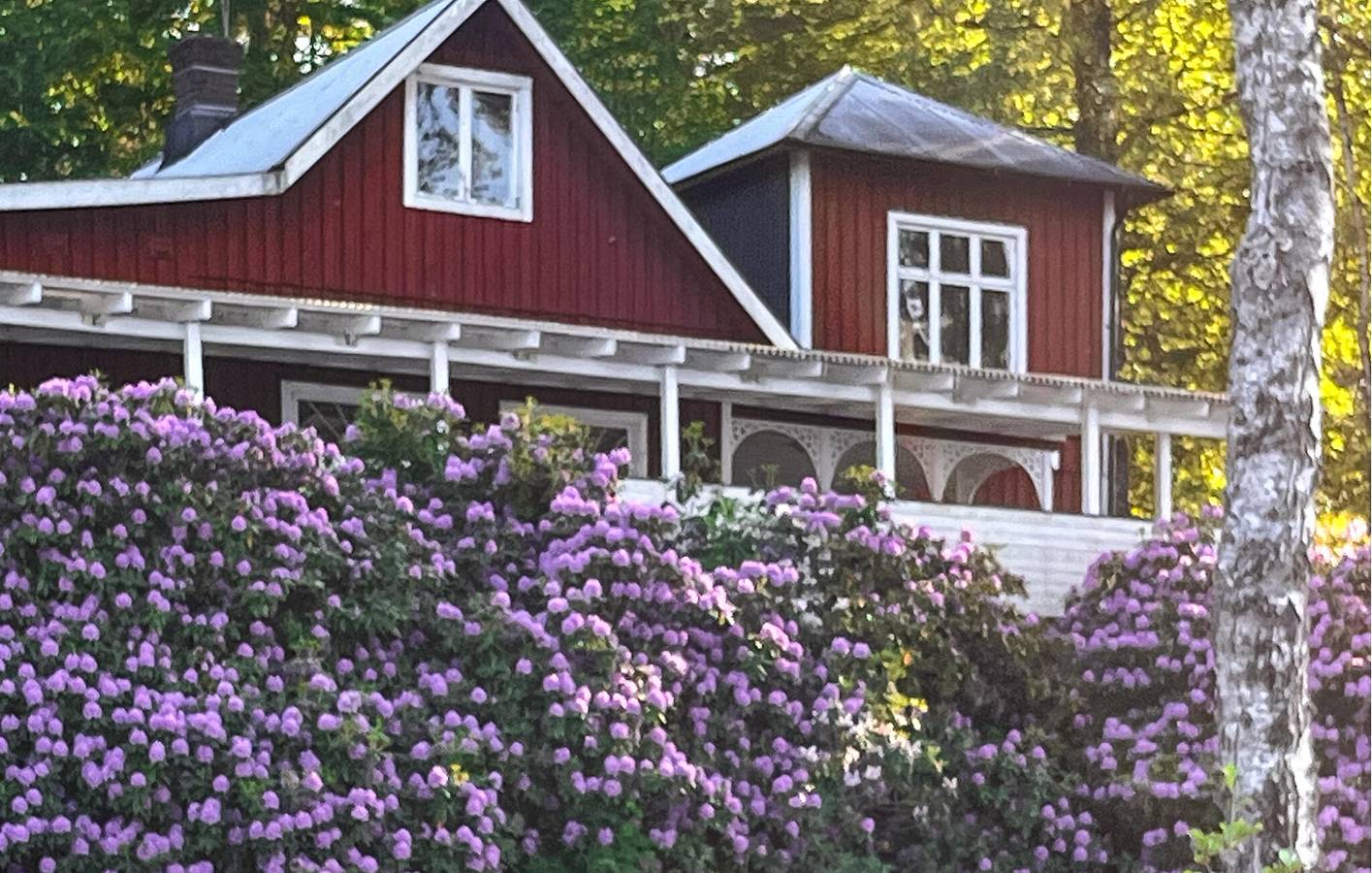 Ferienhaus für 6 Personen mit Garten in Vittsjö, Hässleholm und Umgebung