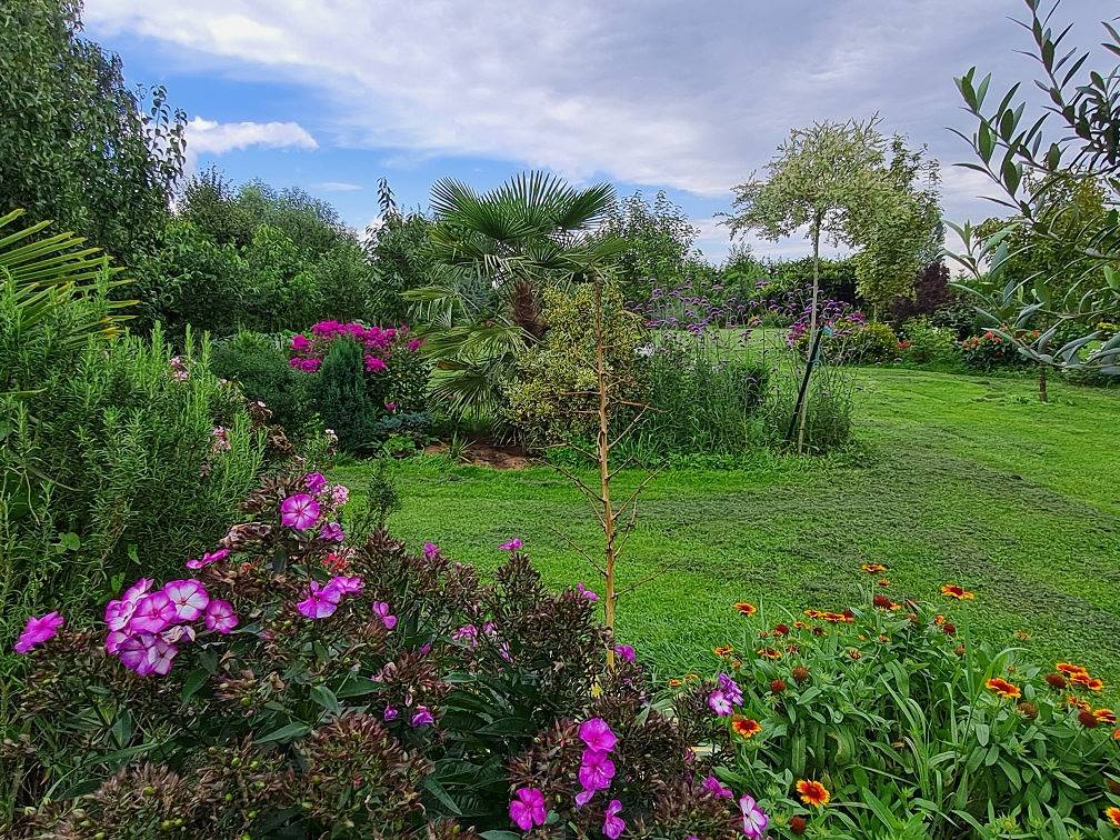 Appartement entier, Gite Aux Canaris in Sars-et-Rosières, Région de Valenciennes