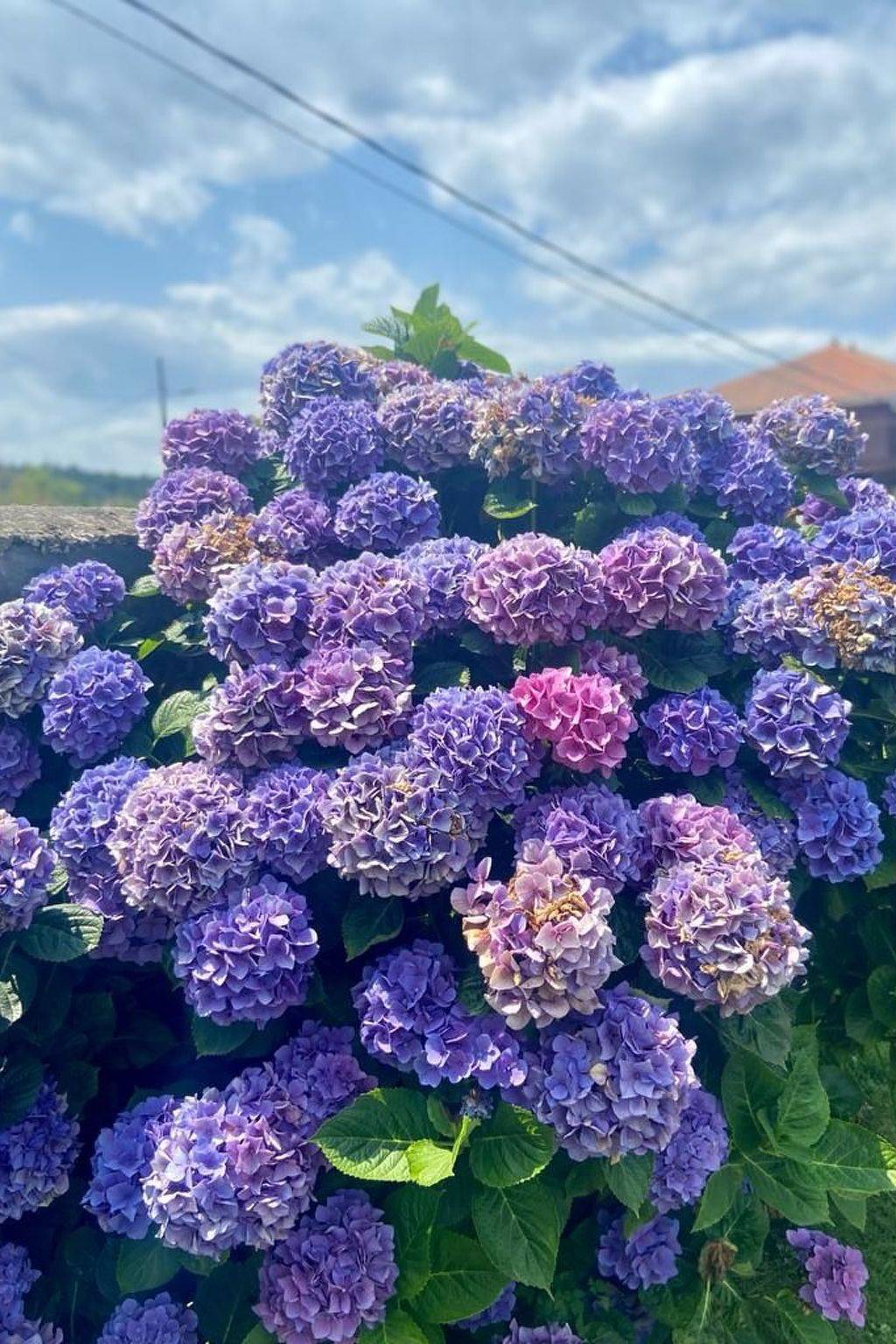 Ländliches Anwesen "Mar y Montaña" (Meer und Berge) in Lamuño, Cudillero