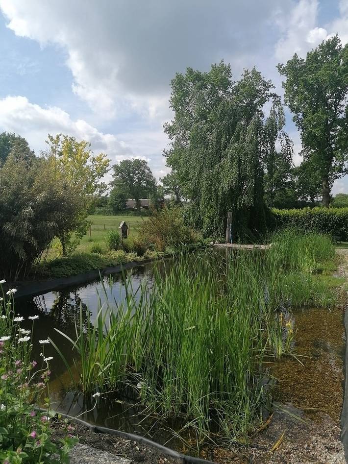 Ganze Ferienwohnung, Gemütliches Schlaffass am Schwimmteich mit Heizung in Burg (Dithmarschen), Nord-Ostsee-Kanal