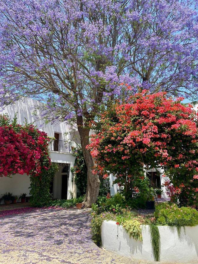 Casa rural para 2 personas, con vistas y terraza además de piscina y jardín en Bahía de Cádiz - 2