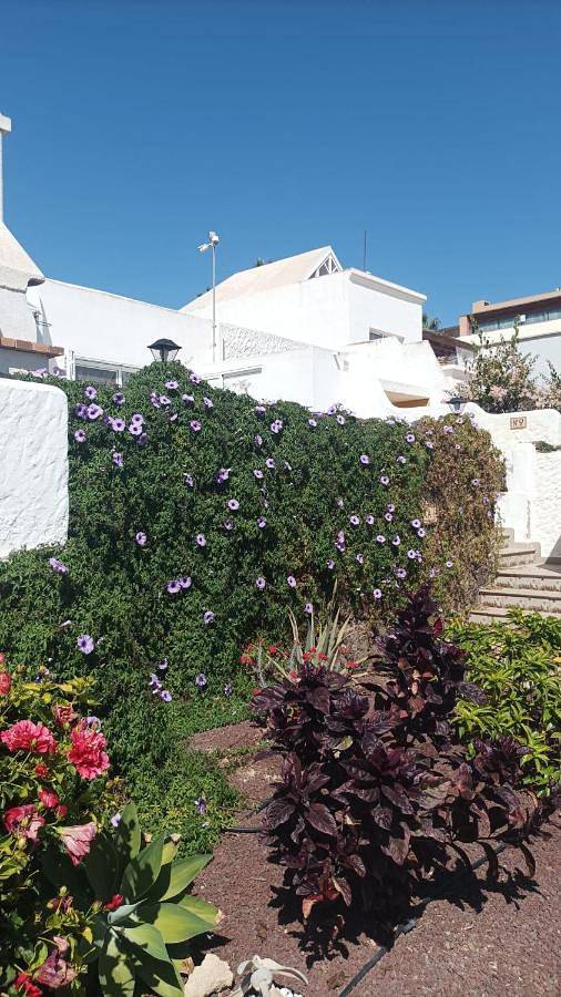 Villa für 4 Personen, mit Ausblick und Garten in Costa Calma - 3
