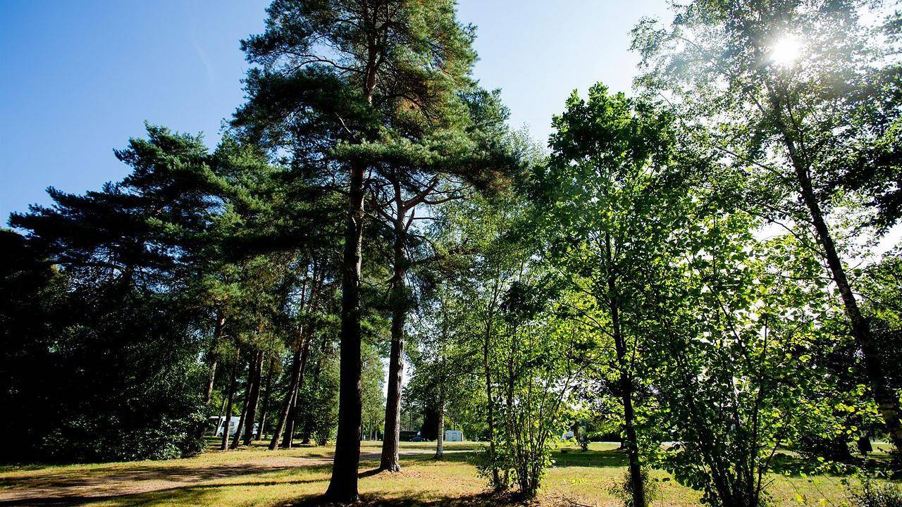 Ganze Ferienwohnung, Mobilheim für 2 Personen (10 m²) in Soltau in Soltau, Landkreis Heidekreis
