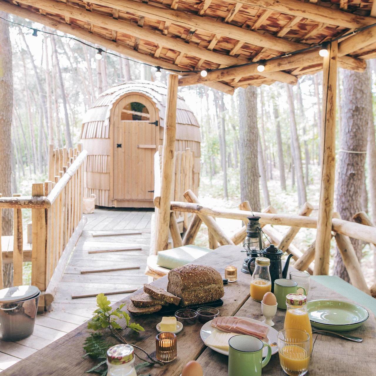 Recreatiedomein Warredal — Tree House 3 in Maaseik, Hoge Kempen