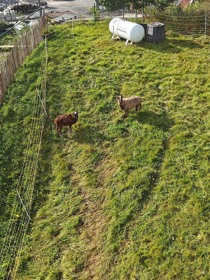 Location de vacances pour 4 personnes, avec jardin à Sprimont - 4