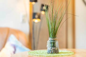 Ferienwohnung für 3 Personen in Diemelsee, die Mittelgebirge, Bild 3