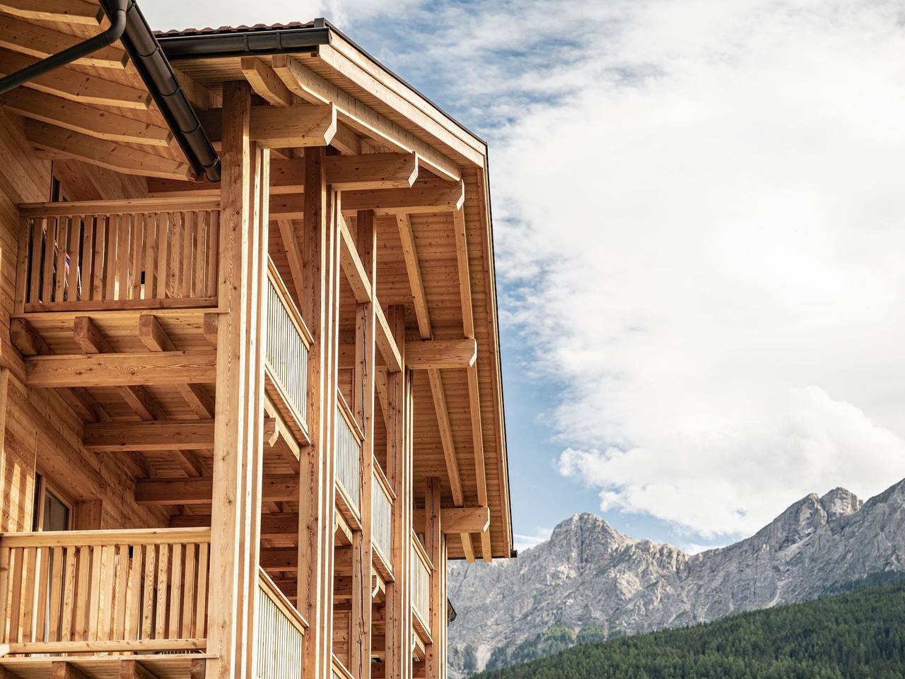 Ganze Wohnung, Residence Maximilian - Appartement Berg in Mitterolang, Olang