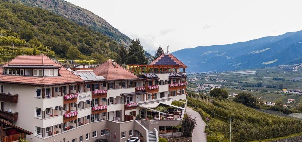 Hotel für 1 Personen, mit Haustier - 1