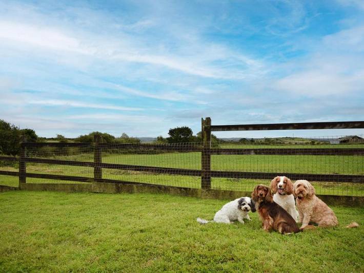 Location de vacances pour 6 personnes, avec jardin, animaux acceptés dans Constantine - 4