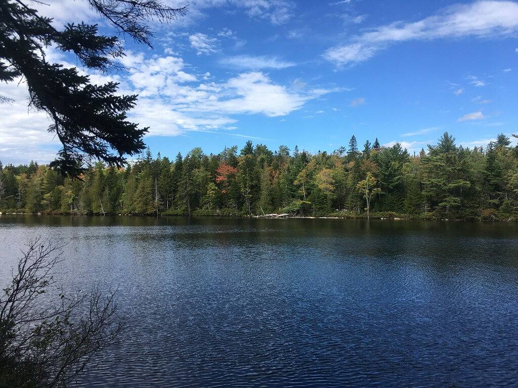Abgeschieden, Off-Grid, Hundefreundliche Hütte am unberührten See in Washington County (Maine)
