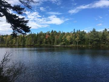 Log Cabin for 5 Guests in Maine, USA, Picture 2