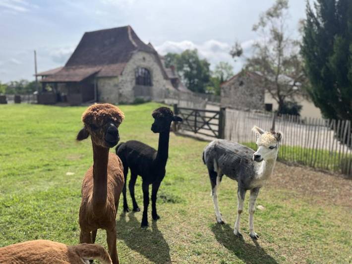 Maison de vacances pour 6 personnes, avec vue ainsi que jardin et piscine