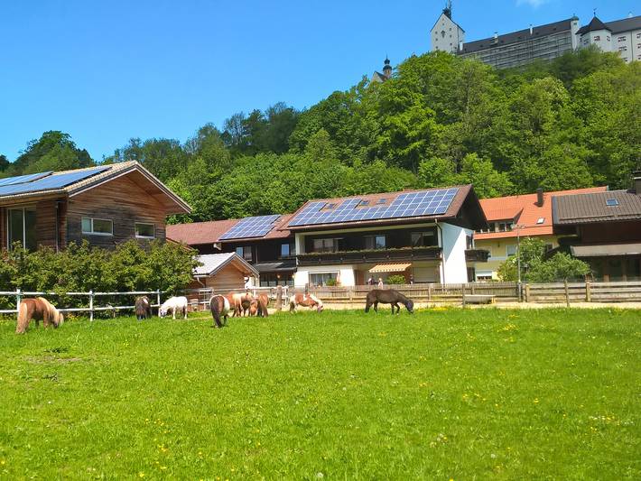 Gästehaus Kiesmüller - Einzelzimmer Nr.7° Dusche/Wc, TV in Kampenwand, Aschau im Chiemgau