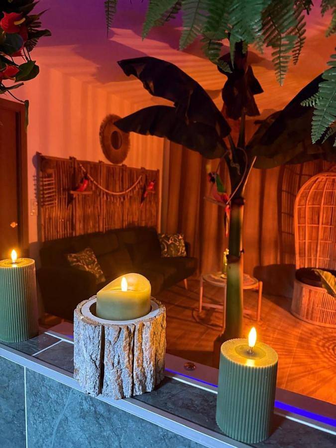 Location de vacances pour 2 personnes, avec vue et terrasse à Nanteuil-lès-Meaux - 3