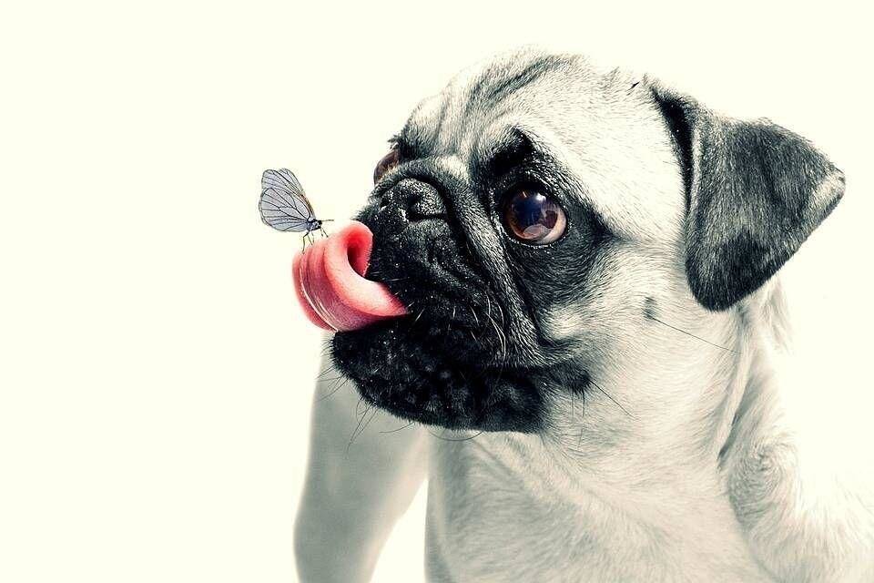 Hauptbild