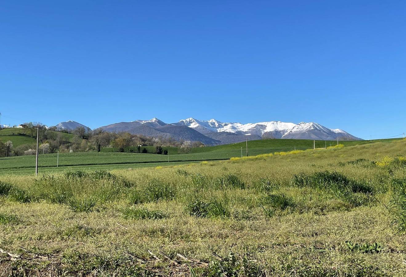 Cyralie in Asson, Béarn