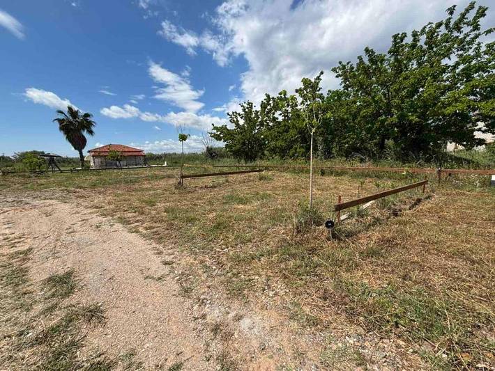 Camping per 4 persone, con Terrazza e Giardino nonché Panorama nella Penisola Calcidica