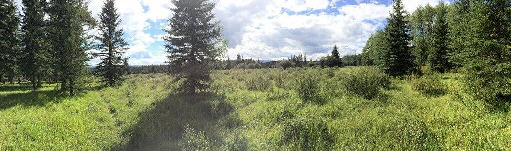 Expanse Cottages - The Cottage Felsen in Kanadische Rocky Mountains