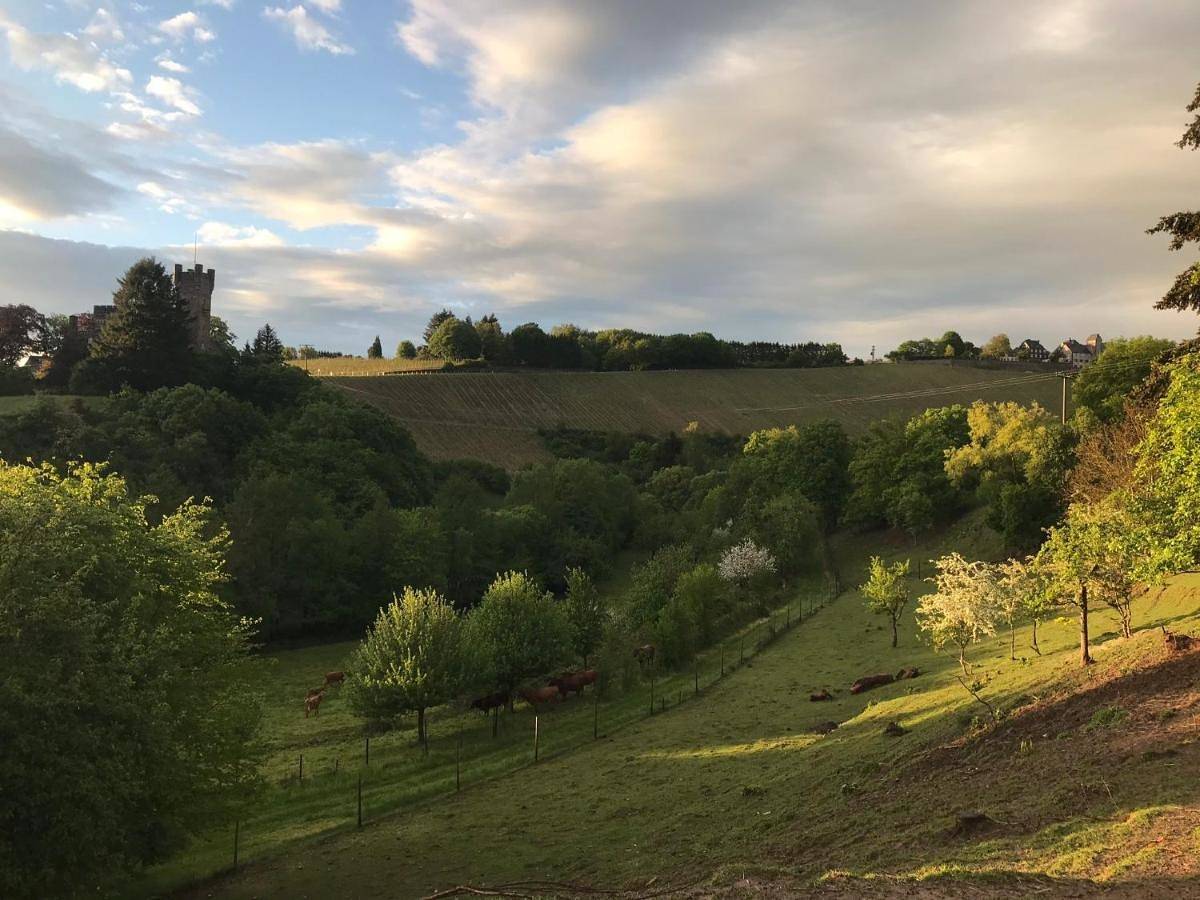 Deluxe Double Room with Castle View in Serrig, Landkreis Trier-Saarburg