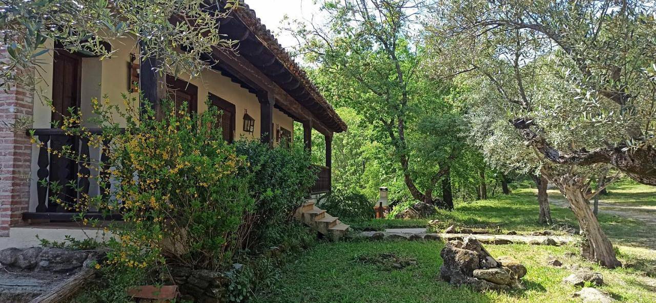 Finca La Josa, Candeleda, Gredos, Vutav397 in Candeleda, Valle del Tiétar