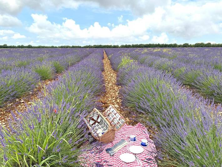 Tente pour 2 personnes, avec vue ainsi que piscine et jardin, animaux acceptés dans les Alpes-de-Haute-Provence - 4