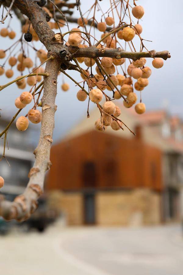 Location de vacances pour 6 personnes, avec vue et terrasse dans Macedo de Cavaleiros - 3