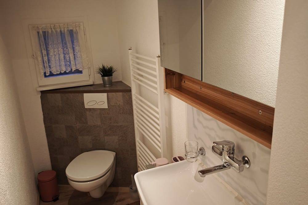 Ganze Wohnung, “Wake Up to Lake & Mountain Views with a Magical Summer Waterfall” in Lungern, Obwalden