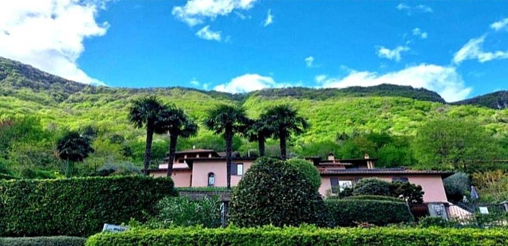 Gîte pour 4 personnes, avec Terrasse et Jardin ainsi que Bassin pour enfant et Piscine à Oliveto Lario - 2