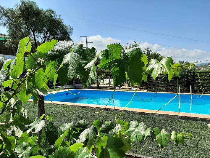 Casa de vacaciones para 6 personas, con jardín en Parque natural de Los Alcornocales - 2