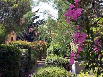 Appartement De Vacances pour 6 Personnes dans Gruissan (Ville), Gruissan, Photo 3