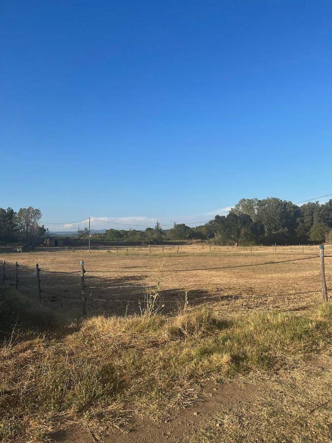 Location de vacances pour 2 personnes, avec terrasse et jardin à Montfort-sur-Argens - 4