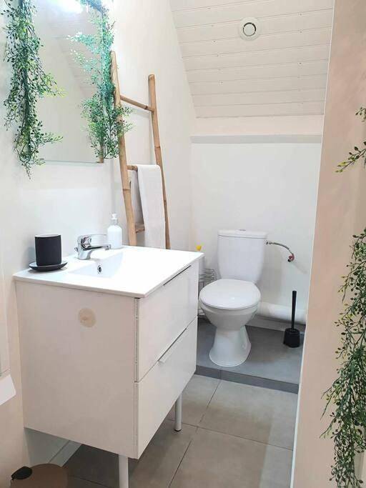 Appartement entier, Studio Coquet - Comme à la maison - Loïc Nantes in Sautron, Région de Nantes