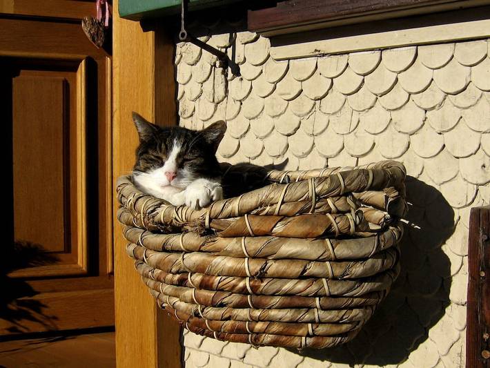 Ferienhaus für 2 Personen, mit Balkon und Garten in Fischen - 3