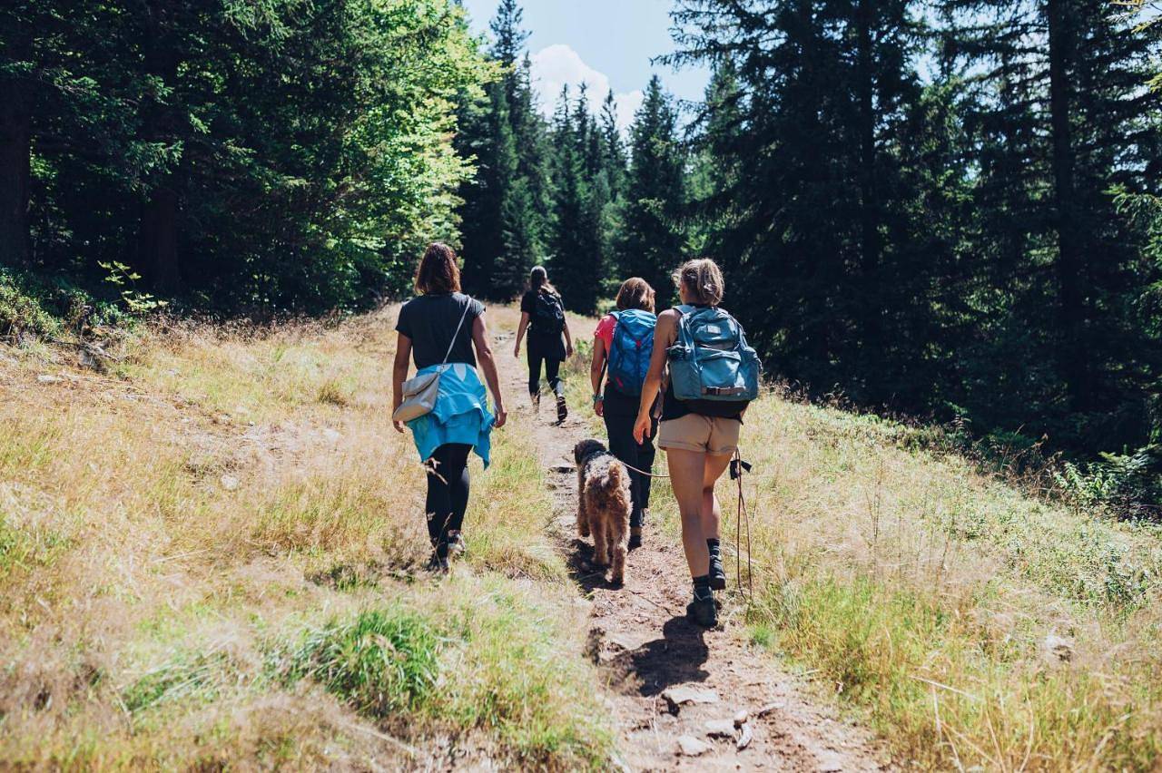 Ganze Wohnung, Apartmajsko naselje Ribniško Pohorje in Karawanken und Bachergebirge, Untersteiermark