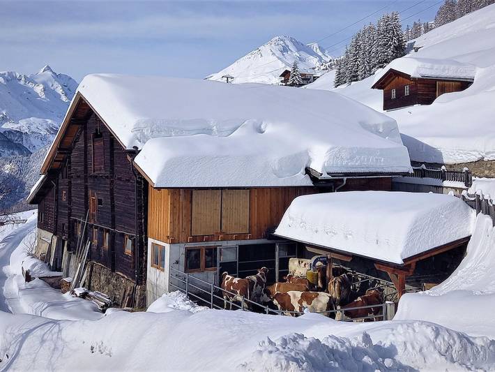 Ferienwohnung für 4 Personen, mit Balkon und Garten, kinderfreundlich in Heiligenblut - 2