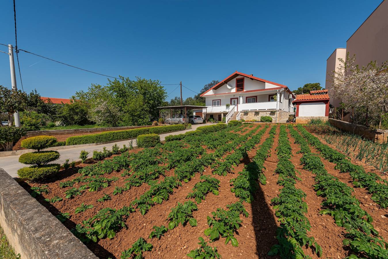 Ganze Wohnung, 2-Zimmer-Ferienwohnung mit Terrasse Bibinje (Zadar) A-24491-a in Bibinje, Zadar