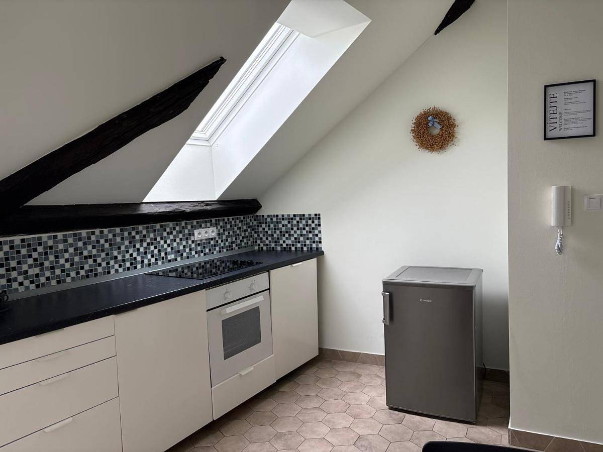Appartement entier, Rezidence U Kamenného mostu in Písek, Région de Písek