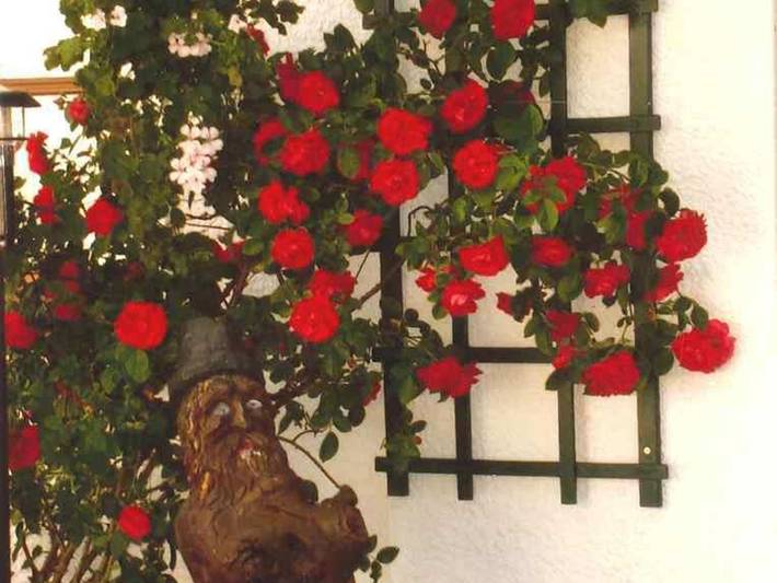 Hütte für 2 Personen, mit Garten in der Steiermark - 4