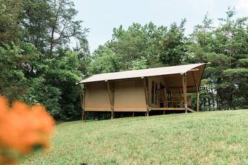 Camping for 6 Guests in Tennessee, USA, Picture 4