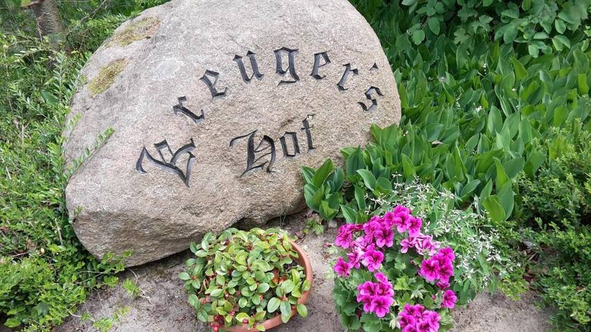 Ferienwohnung für 5 Personen, mit Garten und Ausblick in Wietzendorf - 3