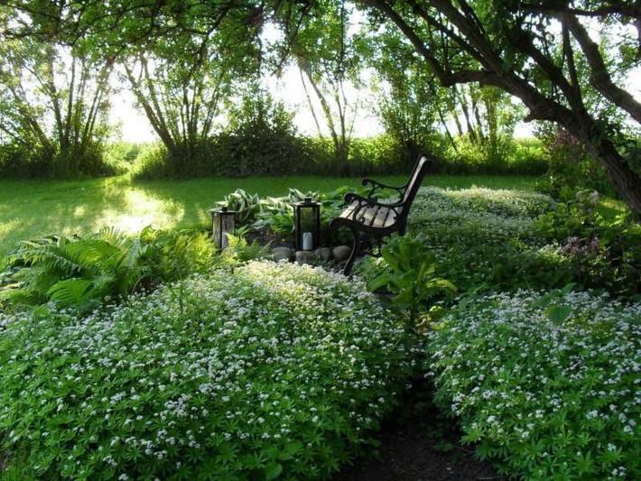 Ganze Wohnung, Canadahof in Pellworm, Nordfriesland